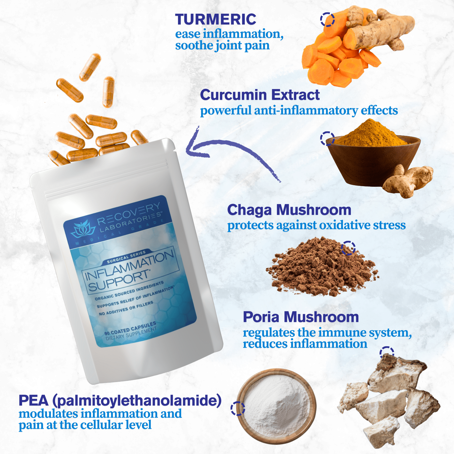 Inflammation Support Supplement Ingredients displayed and explained